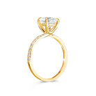 Rose - Micheli Jewellery. Yellow gold round brilliant cut diamond ring with pave diamond band and 4 claw setting. Ring profile. Side on photo. Yellow gold engagement ring. Round Diamond. Diamond ring.
