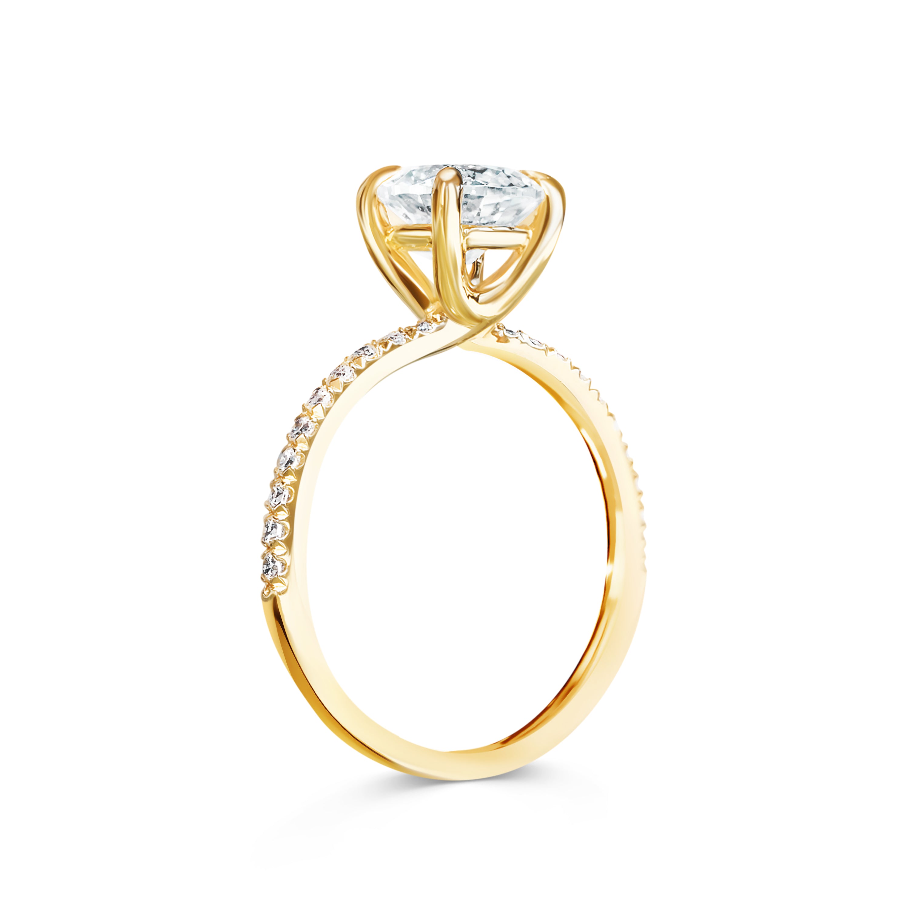 Rose - Micheli Jewellery. Yellow gold round brilliant cut diamond ring with pave diamond band and 4 claw setting. Ring profile. Side on photo. Yellow gold engagement ring. Round Diamond. Diamond ring.