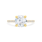 Rose - Micheli Jewellery. Yellow Gold Round Brilliant Cut Diamond Engagement Ring with 4 claw setting and pave diamond band. Ring profile. Round Diamond. Round Brilliant Cut Diamond Ring. Engagement Ring. Yellow Gold Engagement Ring