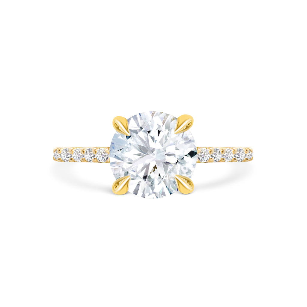 Rose - Micheli Jewellery. Yellow Gold Round Brilliant Cut Diamond Engagement Ring with 4 claw setting and pave diamond band. Ring profile. Round Diamond. Round Brilliant Cut Diamond Ring. Engagement Ring. Yellow Gold Engagement Ring